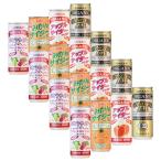 24本セット ヒカリ 有機 炭酸飲料 4�