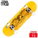 スケボージュニアコンプリートアンチ...