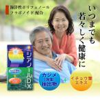 siano-ruDXkajime( водоросли ) экстракт предмет + гинкго лист экстракт 240 шарик входить 