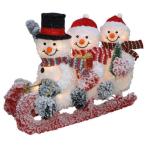 LEDファブリックティンセルスノーマンソリ クリスマス イルミネーション WG-2782