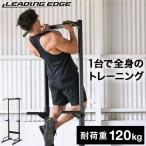 ★ポイント5倍★リーディングエッジ LEADING EDGE チンニングスタンド LE-CS200 BK ブラック LEHGLC 懸垂 プッシュアップバー ディップス トレーニング器具