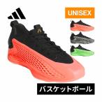 ★数量限定品★★記念すべきアント1stモデル★ アディダス adidas A.E. 1 ロー メンズ レディース 屋内 室内 インドア バスケットボール バスケ シューズ