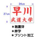 九櫻 KUSAKURA 公式試合用 柔道ゼッケン プリント加工 34×27cm JT63427KA R 赤 レディース 送料無料 ネーム加工料 柔道着 空手着 武道 剣道 道衣 名前