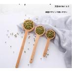 【天然木製】ビーチ材 計量スプー