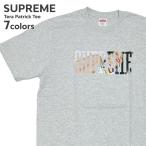 新品 シュプリーム SUPREME Tera Patrick Tee テラパトリック Tシャツ ストリート スケート スケーター 200009464142 半袖Tシャツ