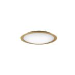 [ Kanto ограниченная продажа ][ Panasonic ][LGC62123]LED потолочный светильник /~14 татами для / днем свет цвет / лампа цвет / тонировка тонировка возможно LED освещение 