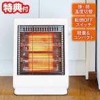 エスケイジャパン カーボンヒーター SKJ-WM60C(W) コンパクトヒーター ミニ暖房 600W 300W 強弱 出力切替 SKJ-WM-60CW 温度ヒューズ タテ