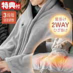 電気 ひざ掛け 肩掛け 2WAY 電気ブランケット HIRO 電熱2WAYヒートブランケット HED-7400 電気ひざ掛け 洗える USB給電式 電気毛布 電気ひざかけ