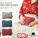 北欧 スウェーデン 充電式 湯たんぽSCANDINAVIAN FOREST EF-HW03 ゆたんぽ 蓄熱式 エコ湯たんぽ 蓄熱ゆたんぽ 充電式湯たんぽ 充電式エコ湯たんぽ