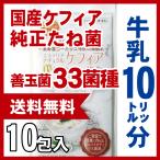 【送料無料】10リットル分 自分で作るスーパーヨーグルト【ケフィア】タネ菌 エステリア ナチュラル ケフィア メール便（ゆうパケット）発送