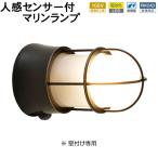  сенсор свет наружный предотвращение преступления защита от дождя человек чувство сенсор вход освещение LED морской свет латунь BH1000 BK FR LE SL помутнение стекло черный чёрный 