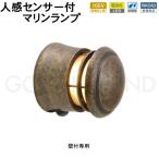  сенсор свет наружный предотвращение преступления защита от дождя человек чувство сенсор вход освещение LED морской свет латунь BH1010 LOW AN FR LE SL помутнение стекло старый цвет Brown подпалина чай 