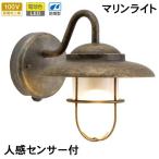 сенсор свет наружный предотвращение преступления защита от дождя человек чувство сенсор вход освещение LED морской свет латунь BR5060 AN FR LE SL помутнение стекло старый цвет Brown подпалина чай 