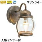  сенсор свет наружный предотвращение преступления защита от дождя человек чувство сенсор вход освещение LED морской свет латунь BR1700 AN FR LE SL прозрачный стекло старый цвет Brown подпалина чай 
