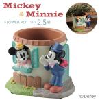プランター 植木鉢 ディズニー 窓辺 ミッキーマウスとミニーマウス 2.5号 内径6.5cm レジン ガーデニング 小物入れ 園芸用品
