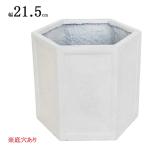 植木鉢 プランター おしゃれ 鉢植え ヘキサゴンポット 5号 white ホワイト 白 六角形 幅21.5×奥18.5×高さ18 鉢 底穴あり ガーデニング