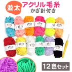 毛糸 並太 セット 12色セット アクリル 編み物 かぎ針付き 毛糸セットカラフル 手作り 手編み ラメ 韓国風 たわし 初心者 かぎ針編み 送料無料