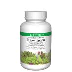  сигнал son Berry seiyou солнечный The siFFD 500mg 135 Capsule ECLECTICekrektik трава дополнение свежий выше комплектация стандарт 