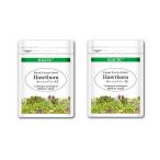  сигнал son Berry seiyou солнечный The siFFD 500mg 15 Capsule Eco упаковка 2 шт. комплект свежий выше комплектация стандарт трава дополнение ECLECTICekrektik