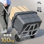 在庫限り アルミ製キャリーカート 軽量折りたたみ式 耐荷重100kg 2輪タイプで荷物運搬に最適 EEX-CT16