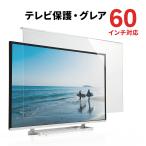 テレビ保護パネル 60インチ対応 液晶テレビ TV カバー 保護 アクリル製 破損防止 傷防止 汚れ防止 ペット 子供 EZ2-CRT019