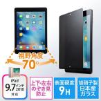 iPad Air2/Air専用プライバシーガラスフィルム のぞき