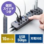 USBハブ 10ポート ACアダプタ付 USB充