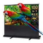  независимый тип проектор экран 100 дюймовый 16:9 складной высокое разрешение 4K соответствует перевозка удобный большой экран out-EEX-PSY8-100HDK outlet 