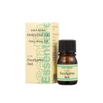 [ новый товар ]tei Lee aroma эфирное масло . масло эвкалипт 3ml