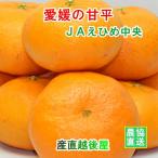 みかん 甘平 愛媛県 送料無料 愛媛県の農協 JAえひめ中央 愛媛の新品種 甘平 5kg 農協産地直送便でお届け