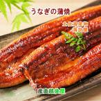 高知県高知市場 土佐海産物 海訪屋 高知県仁淀川産うなぎの蒲焼 2尾 送料無料【冷凍便 ギフト グルメ 贈り物 産地直送】 【母の日 父の日】