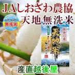 米 お米 30年産 無洗米 300g コシヒカリ 特A地区 魚沼産 新潟県 安心のJA農協米 真空パック 送料無料