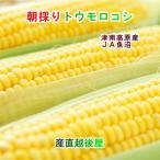  утро .. свежий кукуруза Niigata префектура JA рыба болото сельское хозяйство . производство утро .. длина Цу юг высота . производство кукуруза LL 10шт.@ прохладный рейс бесплатная доставка [ овощи подарок гурман ] [ подарок по случаю конца года ]