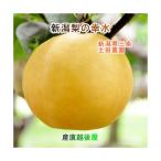  Niigata префектура груша культивирование фруктовое дерево . земля рисовое поле сельское хозяйство . иметь машина удобрение культивирование . вода груша для бытового использования 3kg(6 шт ~9 шт ) бесплатная доставка [ нет мир груша подарок .. товар подарок ]
