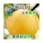 新潟県 土田農園 有機肥料栽培 新高梨 家庭用 10kg(12個〜14個）樹上完熟梨 送料無料【なし 贈答品 プレゼント】 【お歳暮】
