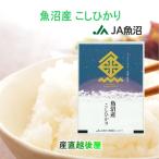 令和７年産 新米 こし