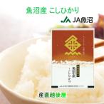 令和７年産 新米 こし