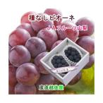  Yamanashi префектура JA фрукты Yamanashi комплект . длина рекомендация house культивирование вид нет pio-ne самый высокое качество несессер 2. ввод бесплатная доставка [ фрукты .. товар подарок гурман ]