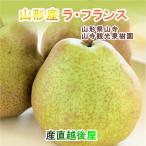 山寺観光果樹園山形県産 高級ラ・フランス 3L〜L5kg(16個〜20個)家庭用 送料無料【果物 ギフト グルメ】 【母の日 父の日】