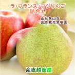 山寺観光果樹園 山形県産 高級ラ・フランス 葉取らずふじりんご 詰合せ 6kg(14個〜16個)送料無料【果物 ギフト グルメ】 【母の日 父の日】