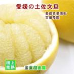  Ehime префектура love юг блок мандарин фруктовое дерево . Yoshida сельское хозяйство .. сверху .. культивирование Yoshida. земля . помело 4kg средний шар .. длина . сельское хозяйство . из прямая поставка от производителя бесплатная доставка [mi can плоды подарок гурман ] [ День матери .