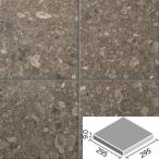 アルティスタ 300mm角平 IPF-300/ATS-4　/ LIXIL INAX 外装床タイル 玄関床 屋外床