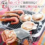 海鮮バーベキューセット 2種10品  バーベキューコンロ 付（ 洗うものがないんです ） bbq コンロ 海鮮 (約2-4人前) ホタテ 5枚  えび 5尾 *冷凍*