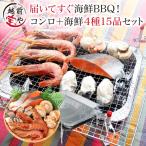 海鮮バーベキューセット 4種15品 バーベキューコンロ 付（ 洗うものがないんです ）bbq コンロ 海鮮 (約4人前) ホタテ かき サーモン えび *冷凍*