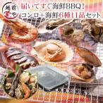 海鮮バーベキュー 6種11品　バーベキューコンロ 付（ 洗うものがないんです ） bbq コンロ 海鮮 (約2-3人前)　*冷凍*