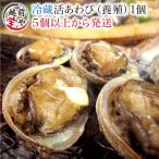 活 アワビ あわび 鮑 (高級 養殖)1個50〜60g  ギフト 海鮮BBQ バーベキュー ((冷蔵))