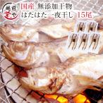 ハタハタ 干物 3尾×5パック はたはた 鰰 真空パック 一夜干し 一夜干し魚 一夜干しセット ((冷凍))