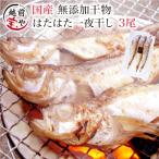 ハタハタ 干物 3尾×1パック はたはた 鰰 真空パック 一夜干し 一夜干し魚 一夜干しセット ((冷凍))