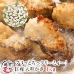 牡蠣 生 広島産 1.0kg (30粒前後入) L・2Lサイズ 加熱用 海鮮BBQ バーベキュー 鉄板焼き 牡蠣フライ ((冷凍))