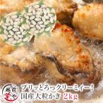 牡蠣 冷凍 生 広島産 2.0kg (60粒前後入) 加熱用 海鮮BBQ バーベキュー 海鮮鍋 鉄板焼き 牡蠣フライ ((冷凍)) ポイント利用